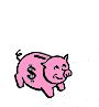pigcolor_e0.gif